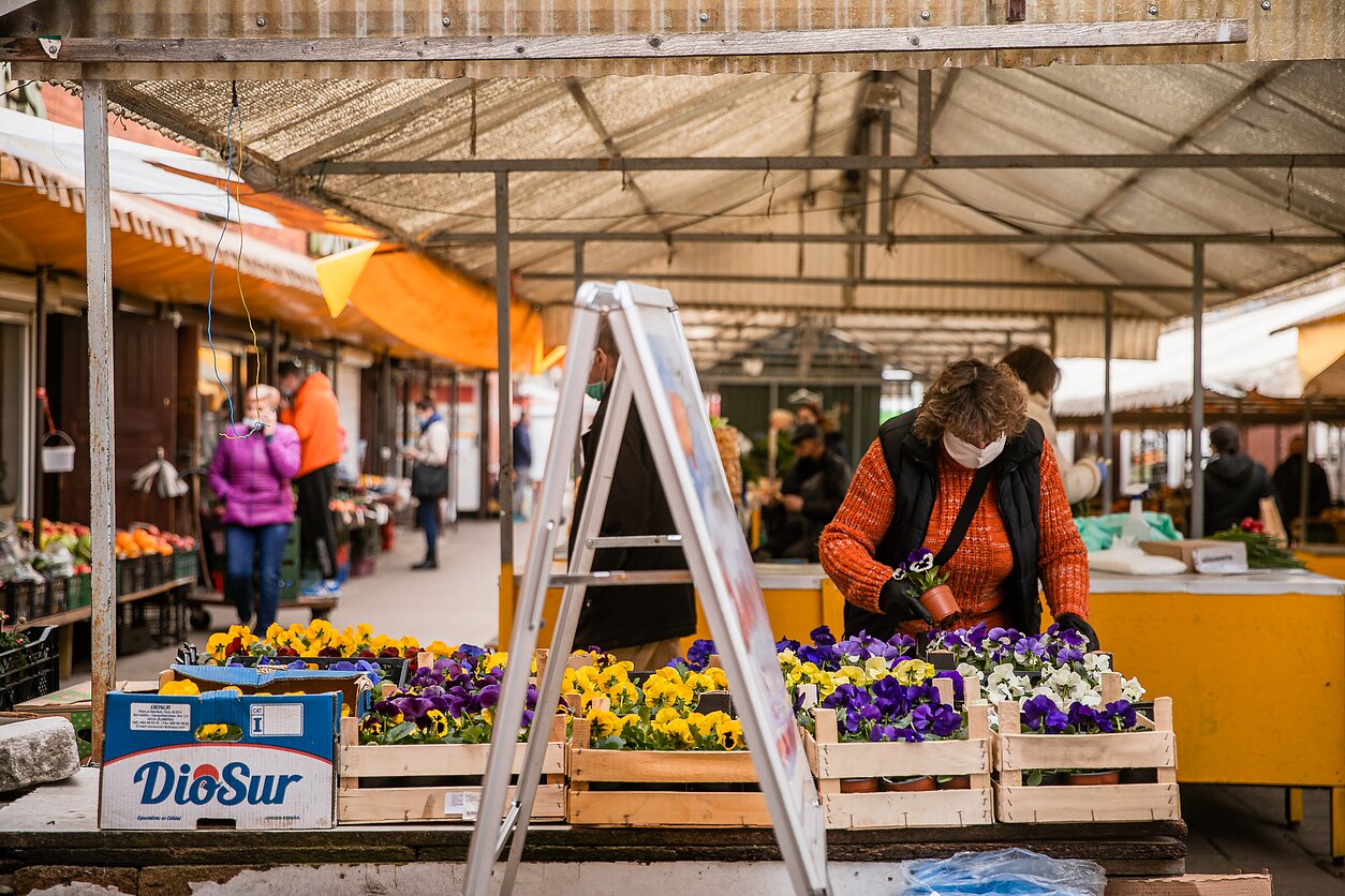 Verslo liudijimams brangstant vidutiniškai 470 eurų, su jais dirbančių žmonių skaičius mažėja